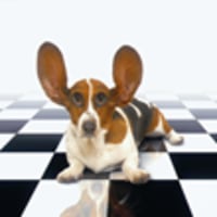 Realway Property Consultants Ipswich