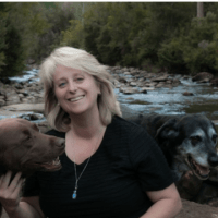 Stephanie Beeston