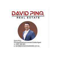 David Pino Real Estate