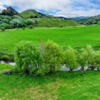 3890 Matawai Road, Otoko, Gisborne