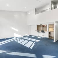 255 Browns Rd, Manurewa, Auckland