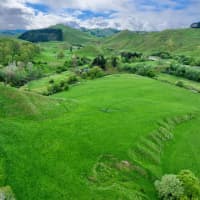 3890 Matawai Road, Otoko, Gisborne
