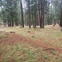 17614 Hamaker Lane, Klamath Falls, OR, 97601