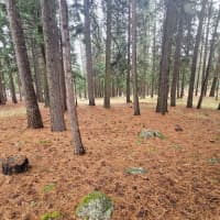 17614 Hamaker Lane, Klamath Falls, OR, 97601