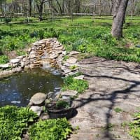 26856 CR-14, Preston, MN, 55965