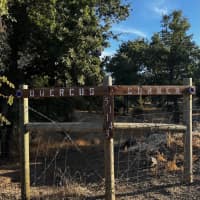 51143 Thistle Lane, Squaw Valley, CA, 93675