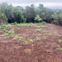 10709 Turkey Bend Dr, Jonestown, TX, 78645