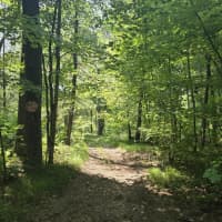  East Michland Path, White Cloud, MI, 49349