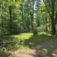  East Michland Path, White Cloud, MI, 49349