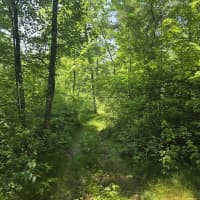  East Michland Path, White Cloud, MI, 49349