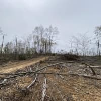 Society Hill Road, Edmonton, KY, 42129