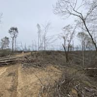  Society Hill Road, Edmonton, KY, 42129