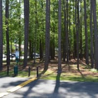 C3/950 Forestbrook Road, Forestbrook, SC, 29579