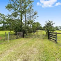 10900 NE 41st Terrace, Marion County, FL, 32617