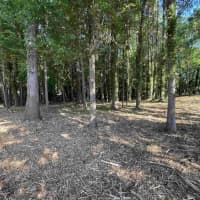 110114 Clear Spring Court, Clemson, SC, 29631