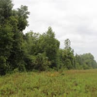  West State Road 40, Pierson, FL, 32180