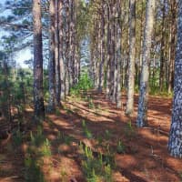  N County Line Rd, Unadilla, GA, 31091