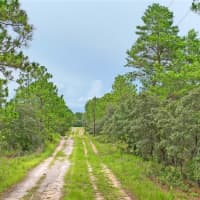 9423 North Tami Path, Dunnellon, FL, 34433