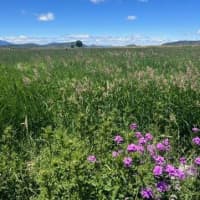 8 Lakeshore Drive, Klamath Falls, OR, 97601