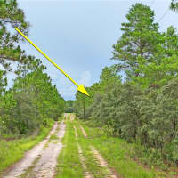 9423 North Tami Path, Dunnellon, FL, 34433