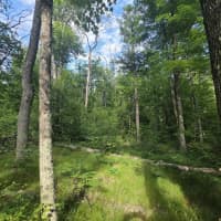  East Michland Path, White Cloud, MI, 49349