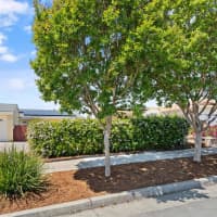 3173 Hostetter Road, San Jose, CA, 95132