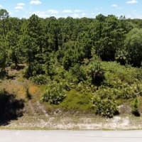 1107 Plumosa Avenue, Lehigh Acres, FL, 33972