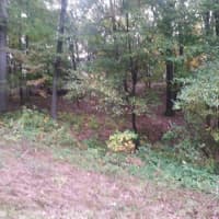 LOT 6/ Vising Dr, Lowell, MI, 49331
