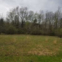 LOT 6/ Vising Dr, Lowell, MI, 49331