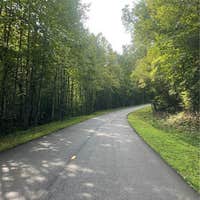 Gold Cove Drive, Dahlonega, GA, 30533 - Land For Sale