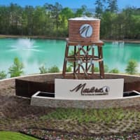 15328 Twinflower Cove, Montgomery County, TX, 77302