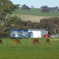 3467 Riddoch Highway, Willalooka, SA, 5267