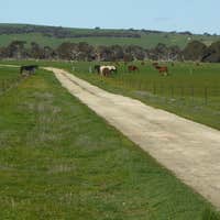 3467 Riddoch Highway, Willalooka, SA, 5267