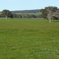 3467 Riddoch Highway, Willalooka, SA, 5267