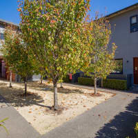 Newcastle West NSW 2302