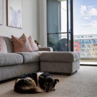 21/10 Lonsdale St, Braddon, ACT, 2612