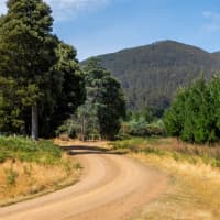 77 Fitzgerald Station Road, Fitzgerald, TAS, 7140