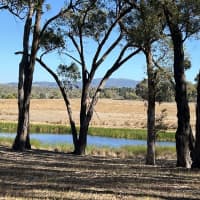 49 Bretherton Lane, Newham, VIC, 3442