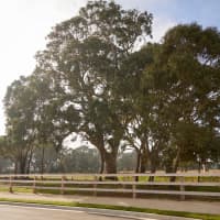 Lot 421/12 Seaberry Promenade, Skye, VIC, 3977