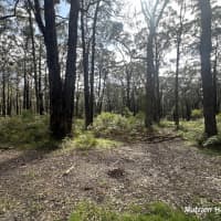 Lot 1/PS 424870E Albert River-Welshpool Road, Binginwarri, VIC, 3966