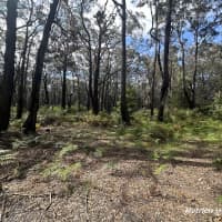 Lot 1/PS 424870E Albert River-Welshpool Road, Binginwarri, VIC, 3966