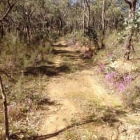 589 Vaughan Springs Rd, Drummond North, VIC, 3446