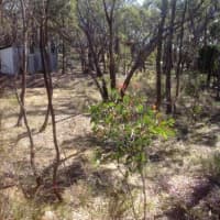 589 Vaughan Springs Rd, Drummond North, VIC, 3446