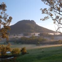 1694 Comboyne Road, Killabakh, NSW, 2429