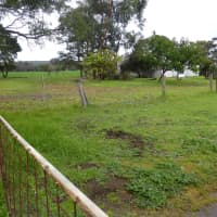 Lot Proposed/Lots Bushby Road, Karridale, WA, 6288