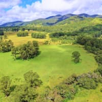 358 Upper Avon Road, Craven, NSW, 2422