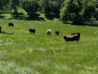 2/ Cow Kick Road, Calaveras County, CA, 95222