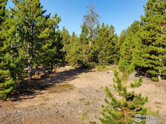 674 Manso Way, Red Feather Lakes, CO, 80545