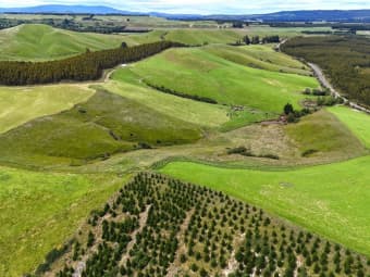 1384 Clifden-Blackmount Road, Wairaki, Southland