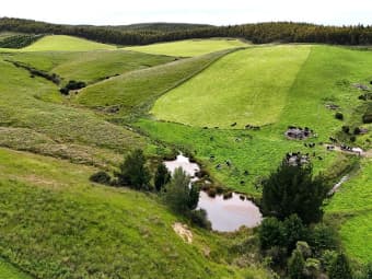 1384 Clifden-Blackmount Road, Wairaki, Southland